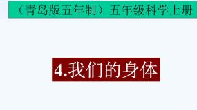 科学五年级上册4 我们的身体课堂教学课件ppt