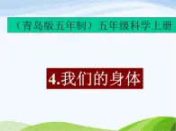 青岛小学科学五上《4-我们的身体》PPT课-件-(1)