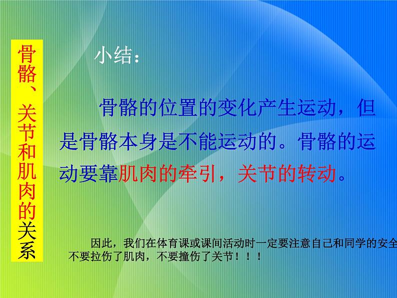 青岛小学科学五上《4-我们的身体》PPT课-件-(1)第5页