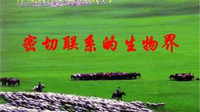 小学科学青岛版 (五四制)四年级下册19 密切联系的生物界多媒体教学ppt课件