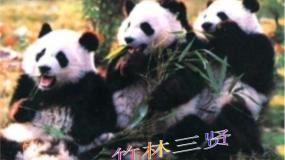 青岛版 (五四制)四年级下册20 珍稀动植物课前预习ppt课件