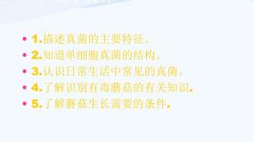 小学科学3 食用菌评课ppt课件