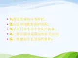 青岛小学科学五上《3-食用菌》PPT课件-(4)
