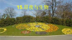 小学科学22 昼夜与生物课前预习课件ppt