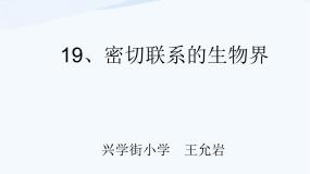 小学科学青岛版 (五四制)四年级下册19 密切联系的生物界教学ppt课件