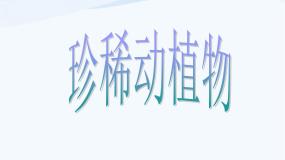 小学科学青岛版 (五四制)四年级下册20 珍稀动植物课文配套课件ppt