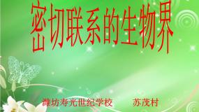 小学科学青岛版 (五四制)四年级下册19 密切联系的生物界教学ppt课件