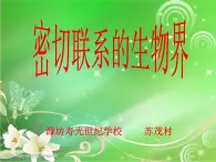 青岛小学科学四下《19-密切联系的生物界》PPT课件-(5)