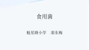 2021学年第一单元 微小的生物3 食用菌多媒体教学课件ppt