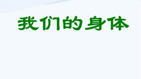 小学科学青岛版 (五四制)五年级上册4 我们的身体说课课件ppt