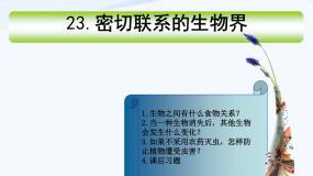 小学科学青岛版 (五四制)四年级下册第四单元 生物与环境19 密切联系的生物界课文内容ppt课件