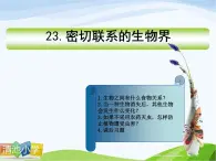 青岛小学科学四下《19-密切联系的生物界》PPT课件-(14)