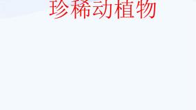 小学科学20 珍稀动植物备课ppt课件