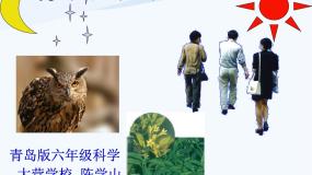 小学科学青岛版 (五四制)四年级下册第五单元 太阳、地球和月亮22 昼夜与生物课文课件ppt