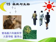 青岛小学科学四下《22-昼夜与生物》PPT课件-(6)