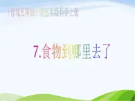 青岛小学科学五上《6-食物到哪里去了》PPT课件-(2)