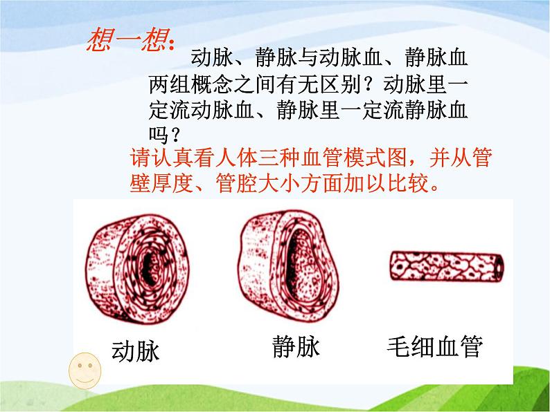青岛小学科学五上《8-心脏和血管》PPT课件-(1)第6页
