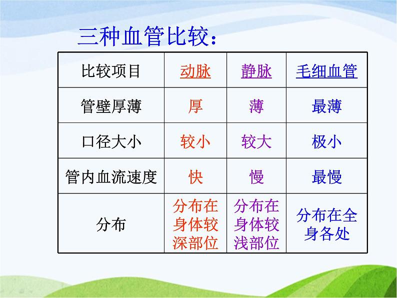 青岛小学科学五上《8-心脏和血管》PPT课件-(1)第7页