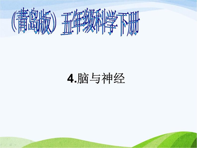 青岛小学科学五下《4.脑与神经》PPT课件-(3)01