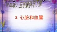 科学五年级上册8 心脏和血管授课课件ppt