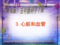 青岛小学科学五下《3.心脏和血管》PPT课件-(3)