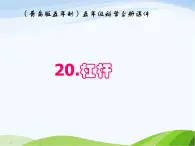 青岛小学科学五上《20.杠杆》PPT课件-(4)