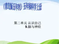 青岛小学科学五上《9-脑与神经》PPT课-件-(4)