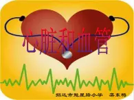 青岛小学科学五上《8-心脏和血管》PPT课件-(3)