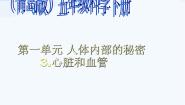 小学科学青岛版 (五四制)五年级上册8 心脏和血管教课ppt课件