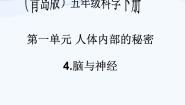 小学科学青岛版 (五四制)五年级上册9 脑与神经课文内容课件ppt