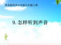 青岛小学科学五上《12-怎样听到声音》PPT课件-(1)