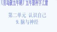 小学科学青岛版 (五四制)五年级上册9 脑与神经评课ppt课件
