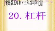 小学科学21.杠杆教课内容课件ppt
