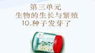 青岛版 (六三制)五年级下册10. 种子发芽了图片课件ppt
