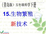 青岛小学科学五下《15.生物繁殖新技术》PPT课件-(1)