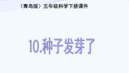 小学科学青岛版 (六三制)五年级下册第三单元 生物的生长与繁殖10. 种子发芽了教课ppt课件