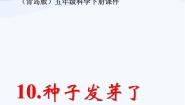 小学科学青岛版 (六三制)五年级下册10. 种子发芽了课文ppt课件
