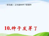 青岛小学科学五下《10.种子发芽了》PPT课件-(1)