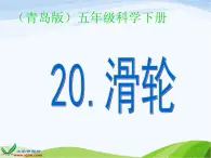 青岛小学科学五下《20.滑轮》PPT课件-(4)