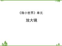 小学科学教科版六年级下册1、放大镜课文ppt课件