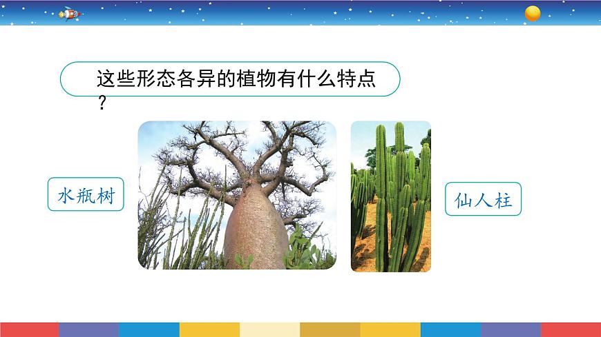 2.5《不同環(huán)境里的植物》教學(xué)PPT第2頁
