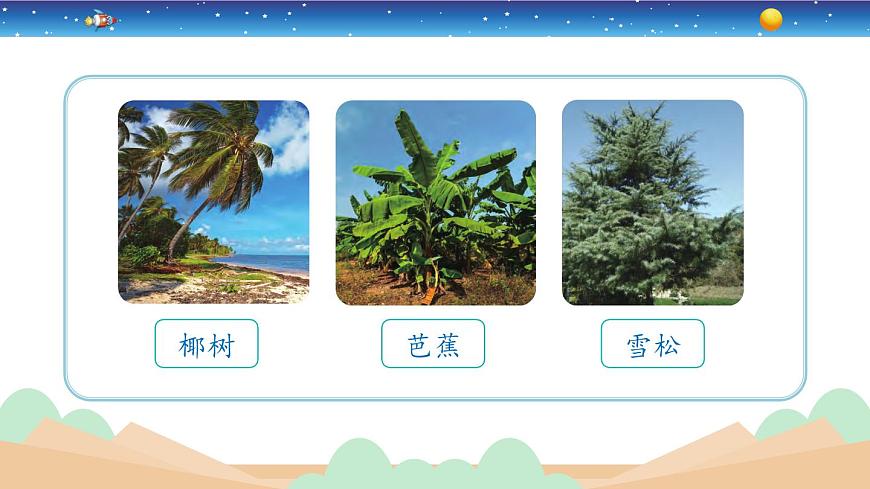 2.5《不同環(huán)境里的植物》教學(xué)PPT第3頁