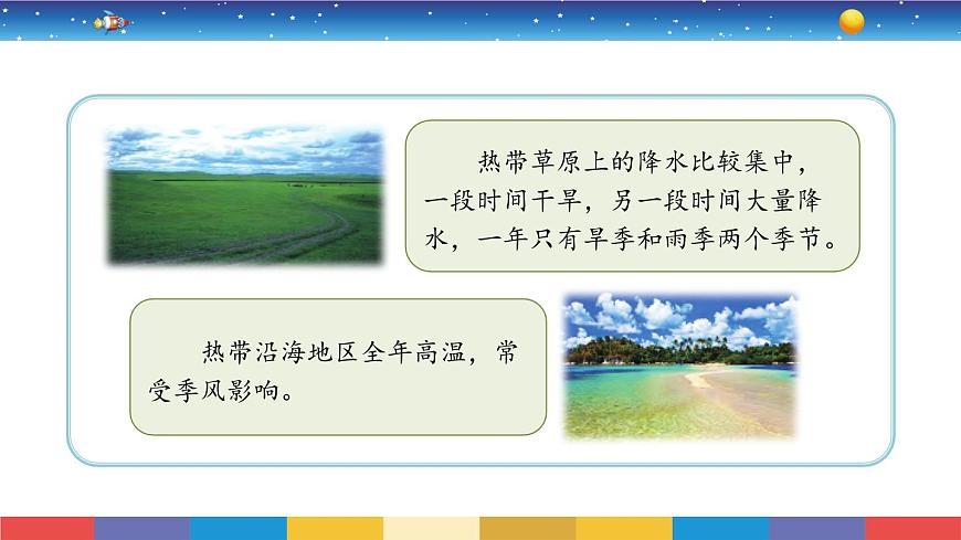 2.5《不同環(huán)境里的植物》教學(xué)PPT第5頁