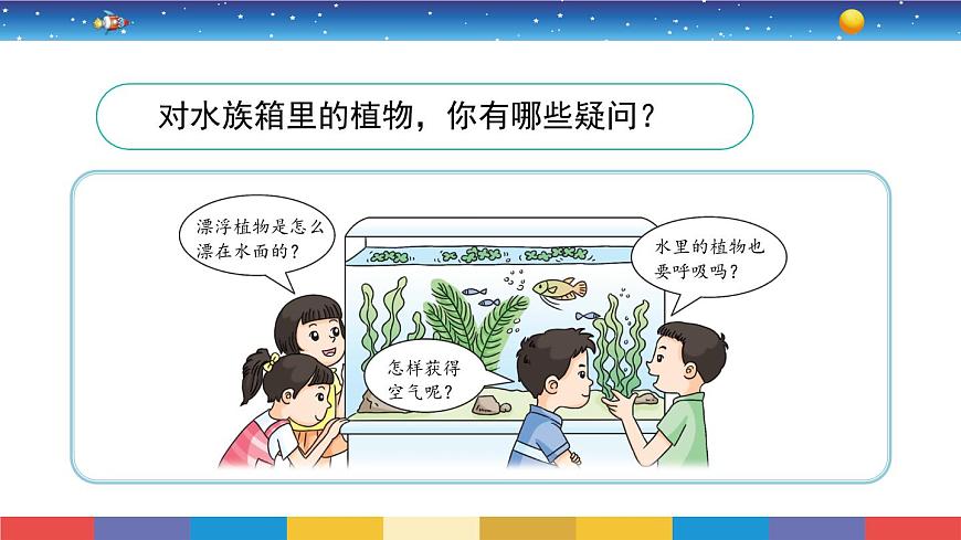 2.7《水里的植物》教學(xué)PPT第4頁