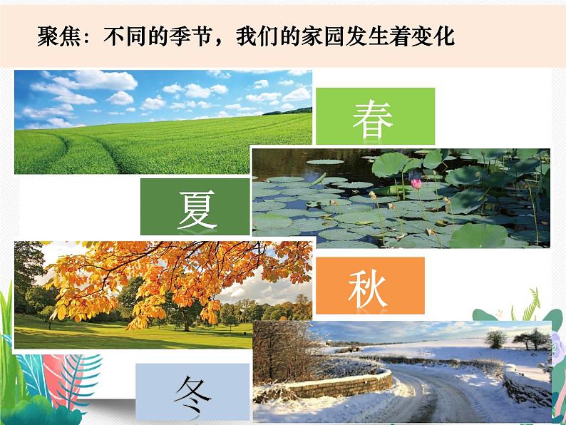 教科版科学 二上1-6《不同的季节》课件PPT03