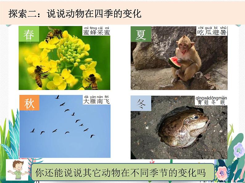 教科版科学 二上1-6《不同的季节》课件PPT06