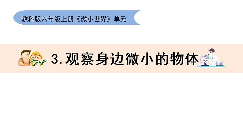 教科版六上《微小世界》单元第3课:《观察身边微小的物体》教学课件01