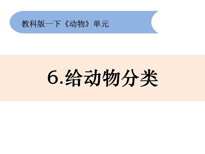 教科版科学 一下2-6《给动物分类》课件PPT01