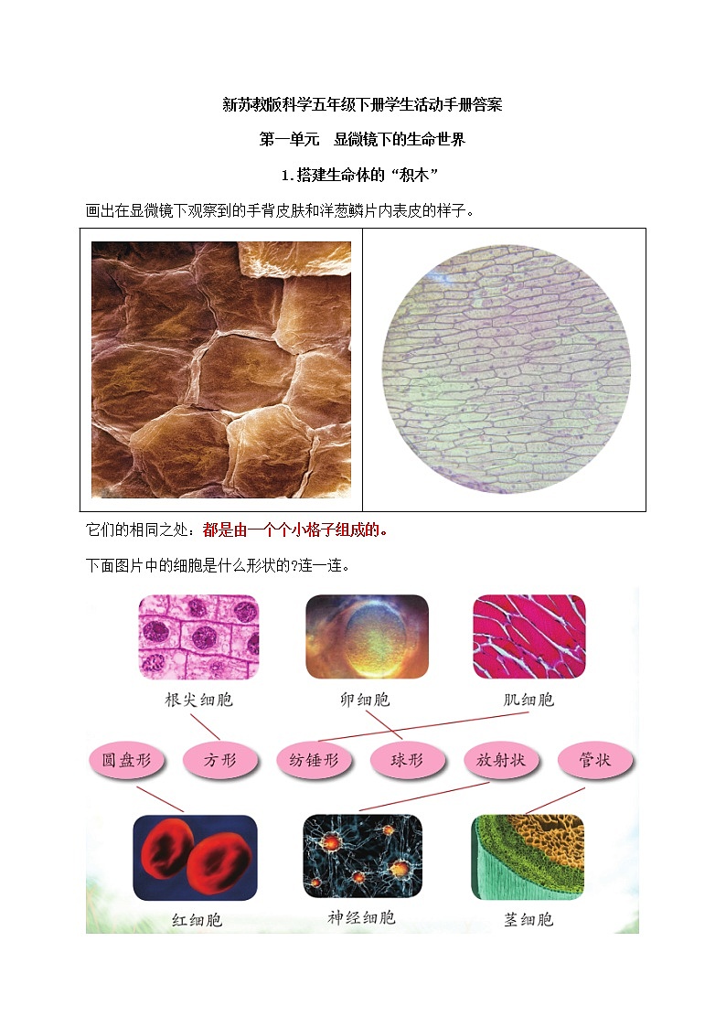 新苏教版科学五年级下册学生活动手册答案01