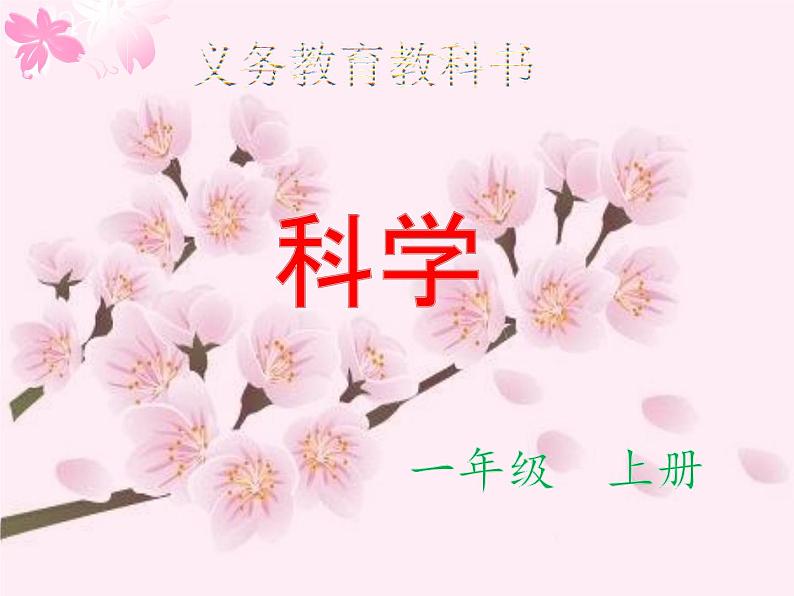 4教科版科学 . 这是谁的叶课件PPT第1页